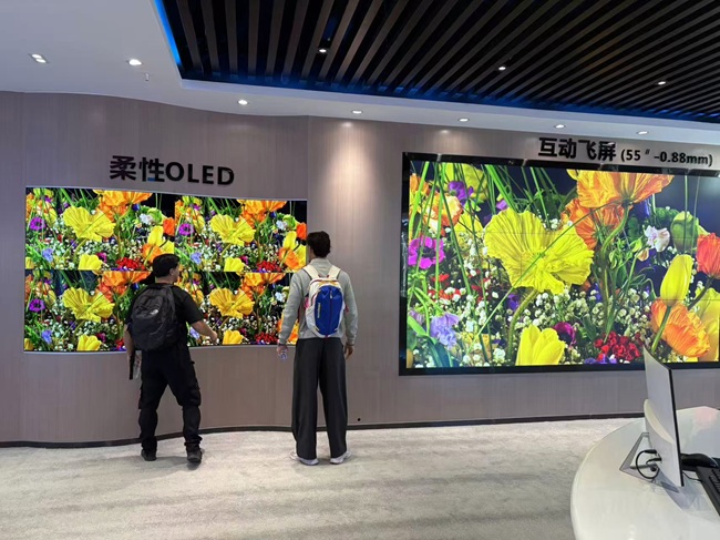 法國客戶組團(tuán)到華邦瀛學(xué)習(xí)LED顯示屏維修的真實(shí)經(jīng)歷